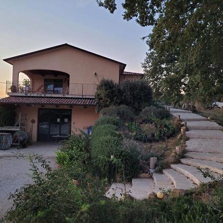 La Residenza Di Campagna Guest House Manciano Luaran gambar