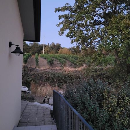 La Residenza Di Campagna Guest House Manciano Luaran gambar