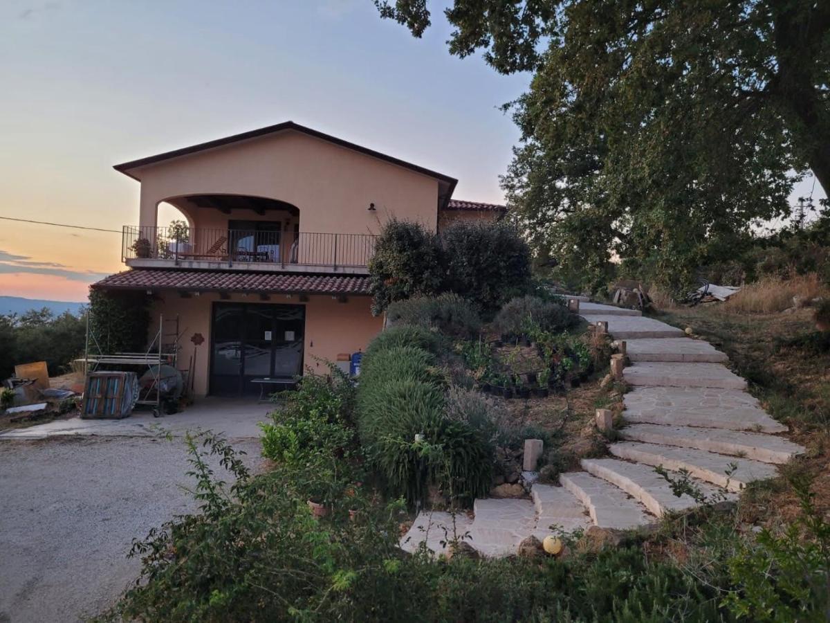 La Residenza Di Campagna Guest House Manciano Luaran gambar