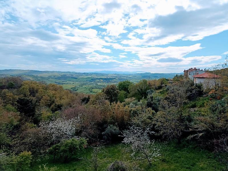 La Residenza Di Campagna Guest House Manciano Luaran gambar